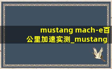 mustang mach-e百公里加速实测_mustang mach-e百公里加速